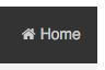 home button